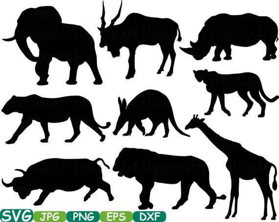Download Safari Animals Cutting Files Svg Monogram Silhouette School Etsy