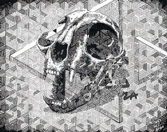 01 - Cat Skull