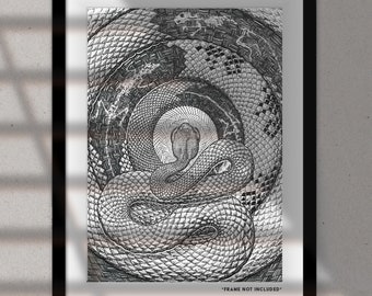 03 - Pineal Seer