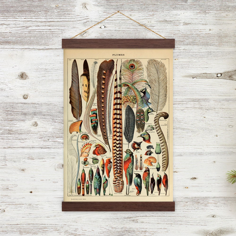 Diy Vintage Poster Hanger Vintage Feather Reproduction w/ poster hanger magnetic self | Etsy