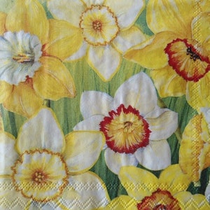 4 Decoupage Luncheon Napkins Daffodils Field Yellow Orange White Daffodil Spring Flowers Paper Napkins
