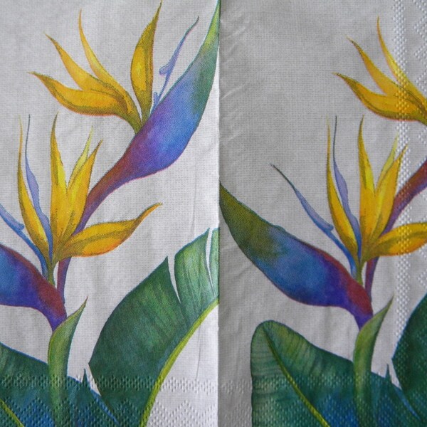 4 Decoupage Dinner Napkins Bird of Paradise Tropical Plant Tan Yellow Blue Green Purple Exotic Flower Guest Towel Paper Napkins