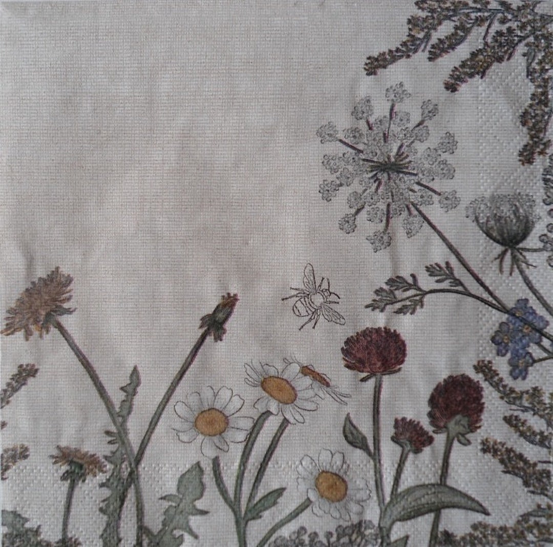 2 Decoupage Luncheon Napkins White Daisies Dandelions Red Etsy