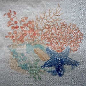 4 Decoupage Cocktail Napkins Seaside Turquoise Conch Shell Blue Starfish Peach Coral Seaweed Plants Sea life Beach Beverage Paper Napkins