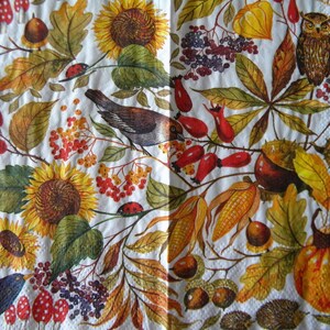 May include: A white background with a colorful autumnal design featuring sunflowers, berries, leaves, an owl, a bird, and a pumpkin.