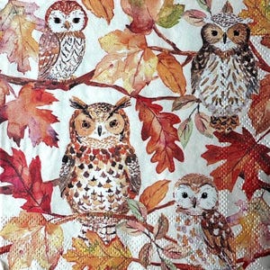 May include: A decorative paper napkin featuring four owls perched on branches surrounded by autumn leaves. The owls have brown and white feathers, and the leaves are in shades of red, orange, and yellow.