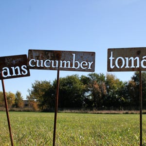 May include: Three weathered metal garden signs with the words "beans", "cucumber", and "tomato" in white lettering. The signs are on rusty metal poles, set in a grassy field under a blue sky.
