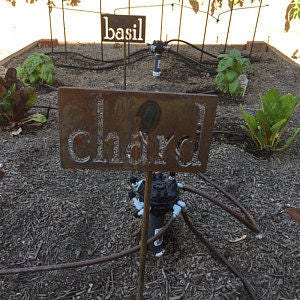 May include: A weathered metal garden sign that reads "chard" in a cutout font, with a smaller sign in the background that reads "basil". The signs are in a raised garden bed with plants and irrigation lines.