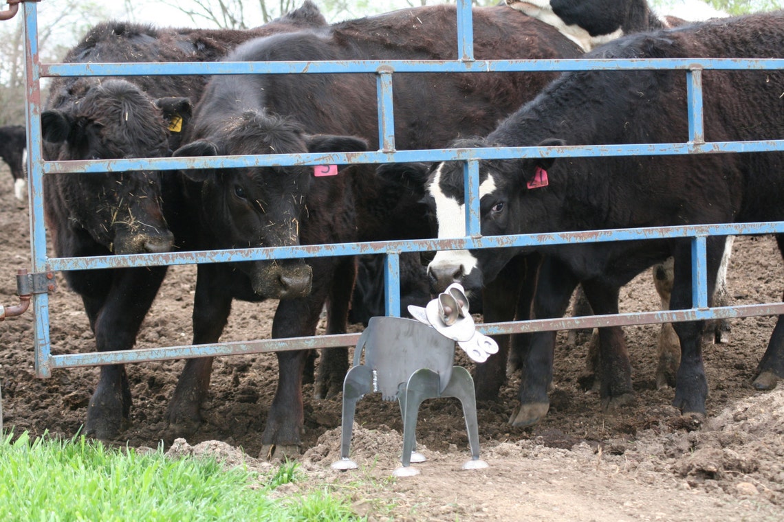 Metal Cow Sculpture Standing Steel Cow Yard Art Farmhouse Etsy