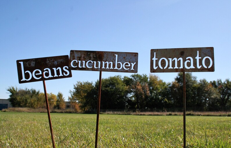 May include: Three weathered metal garden signs with the words "beans", "cucumber", and "tomato" in white lettering. The signs are on rusty metal stakes, set in a grassy field under a blue sky.
