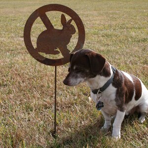 May include: A brown and white dog with a black collar and a tag that says "River" is sitting in a grassy field. A metal sign with a silhouette of a rabbit with a circle and a line through it is in the background.