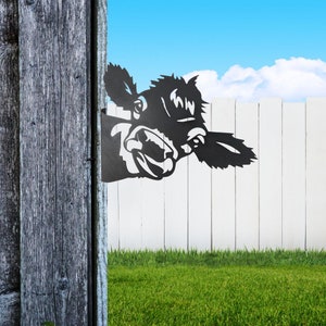 May include: Black metal silhouette of a cow's head peeking over a white picket fence. The cow's mouth is open and its tongue is sticking out.