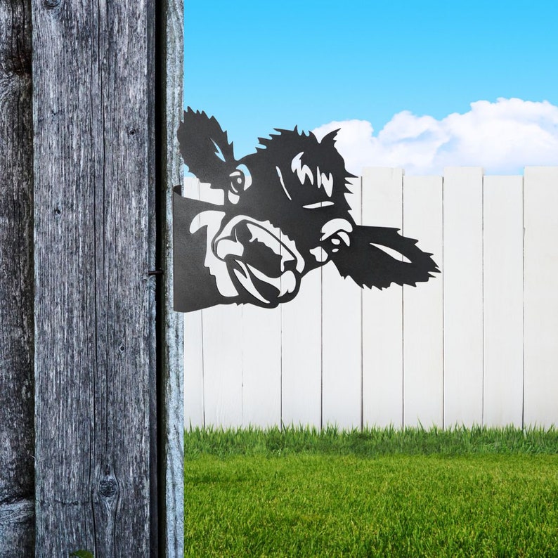 May include: Black metal silhouette of a cow's head peeking over a white picket fence. The cow's mouth is open and its tongue is sticking out.