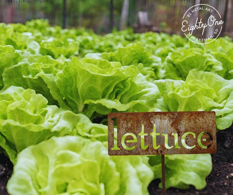 Classic Metal Garden Markers H through P for Herbs, Vegetables, Flowers and Other Plants image 1