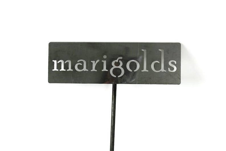 May include: A rectangular, dark gray metal garden stake with the word "marigolds" cut out in a sans-serif font. The stake is on a white background, ideal for marking flower beds.