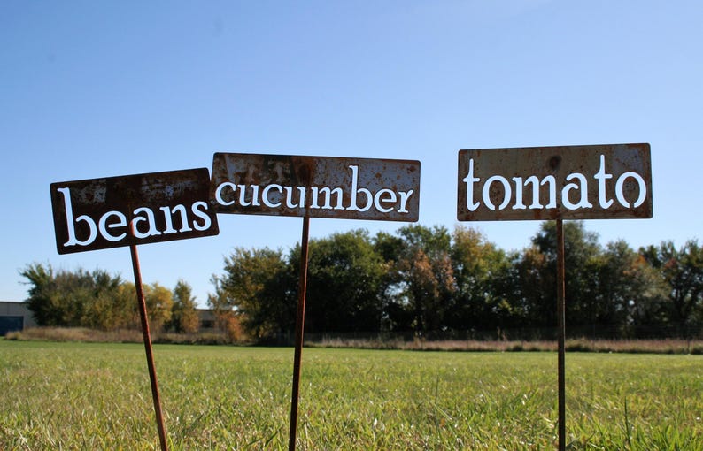 May include: Three weathered metal garden signs with the words "beans", "cucumber", and "tomato" in white lettering. The signs are on rusty metal stakes, set in a grassy field under a blue sky.
