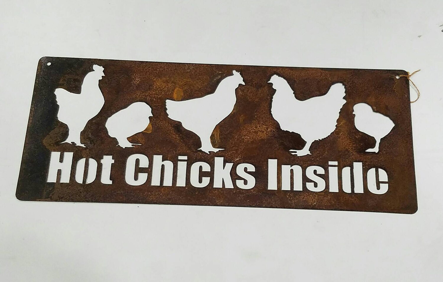 Rustic Metal Chicken Coop Sign HOT CHICKS INSIDE! chicken farmhouse