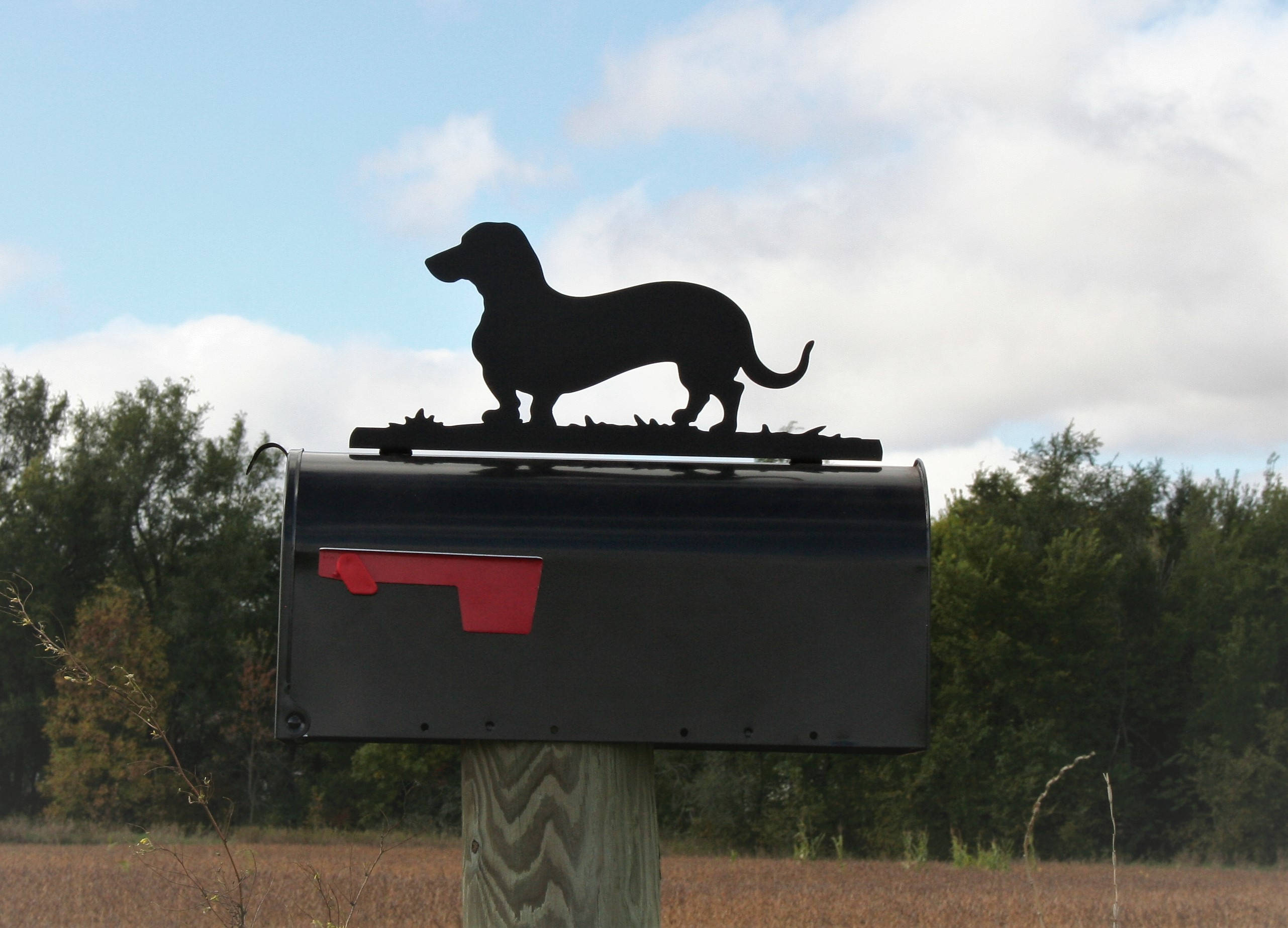 Wiener Dog Mailbox Topper, Metal Dachshund Mailbox Topper, Dog Mailbox