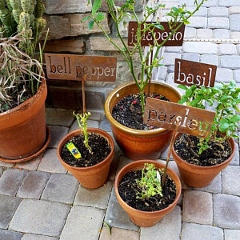 Classic Metal Garden Markers H through P for Herbs, Vegetables, Flowers and Other Plants image 13