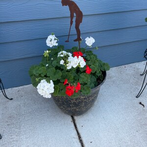 May include: A black and gold decorative planter filled with white and red geraniums. A rusty metal silhouette of a golfer is placed in the center of the planter. The planter is sitting on a concrete surface.