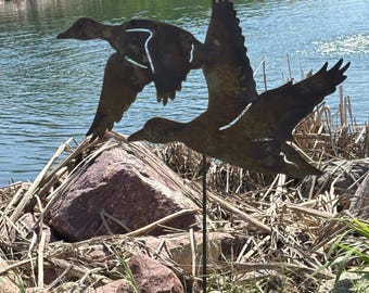 Wildlife & Outdoors