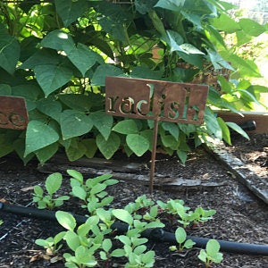 Classic Metal Garden Markers A through G for Herbs, Vegetables, Flowers and Other Plants image 5