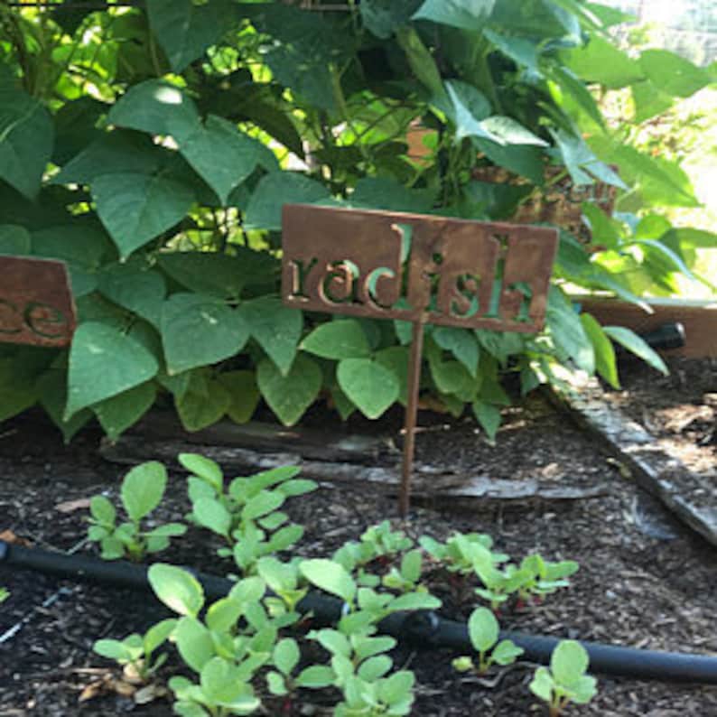 Classic Metal Garden Markers H through P for Herbs, Vegetables, Flowers and Other Plants image 6