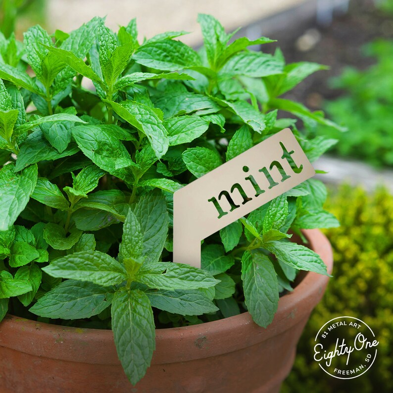 Mint Garden Marker