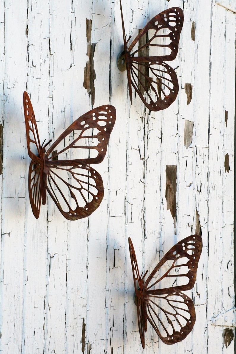 Butterfly rust coat фото 108