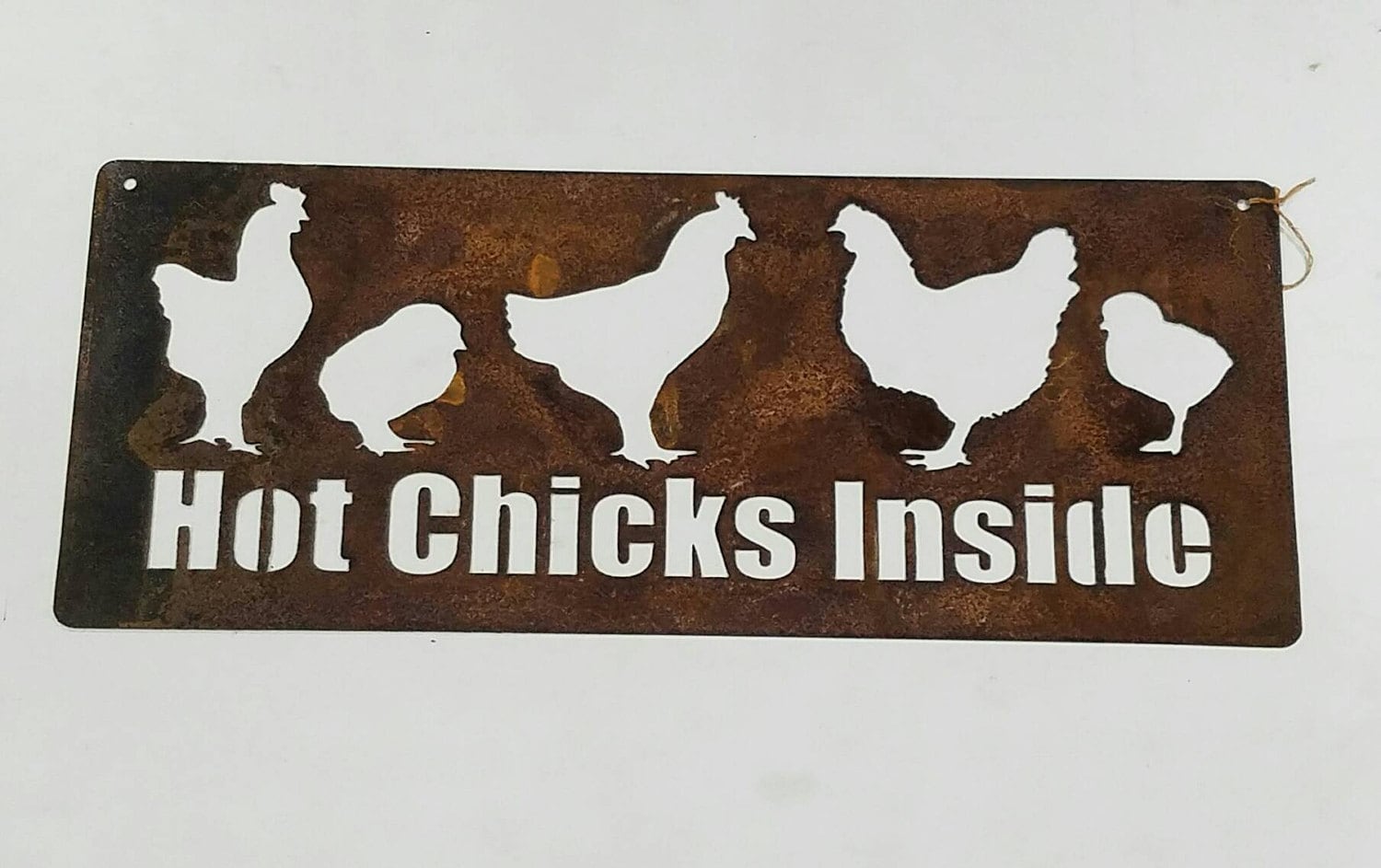 Rustic Metal Chicken Coop Sign -- HOT CHICKS INSIDE 