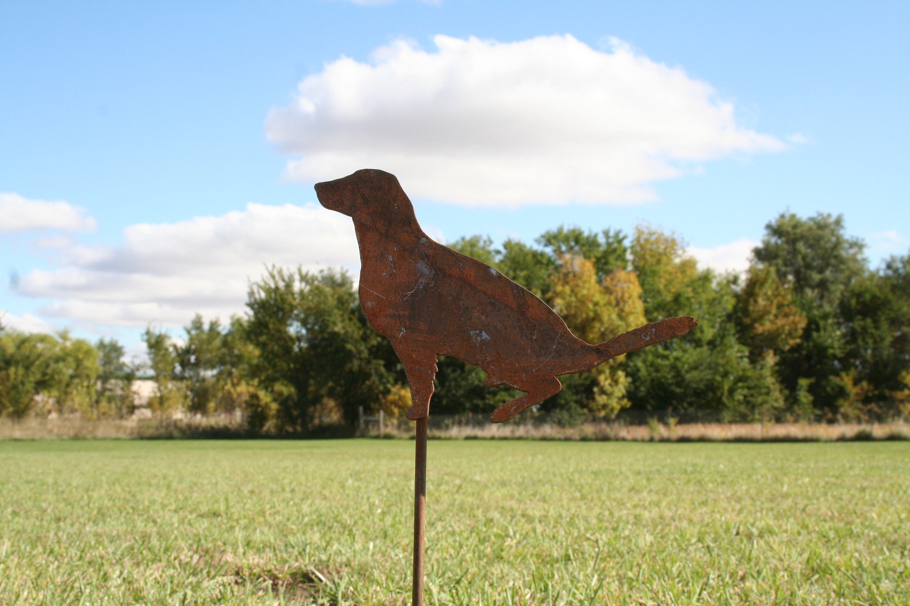 Dog Garden Stake, Dog Yard Stake, Garden Art, Collie Yard Sign, Garden