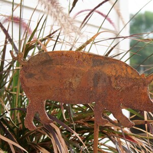 May include: A rusty metal pig silhouette garden decoration. The pig is standing on a bed of brown and green grasses.