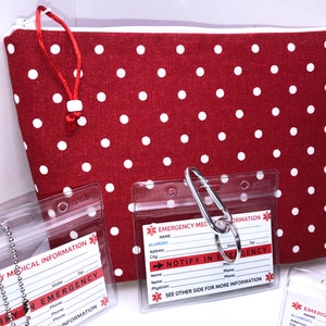 Large Insulated Bag for Diabetic Supplies, EpiPen, Auvi-Q, First Aid, Free Medical Alert Card