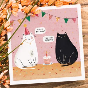 Cartão de aniversário de gato - Cartão de presente de aniversário engraçado com gatos, ilustração de gatinho, gato mal-humorado, arte, arte, senhora louca por gatos, cartão com humor sarcástico