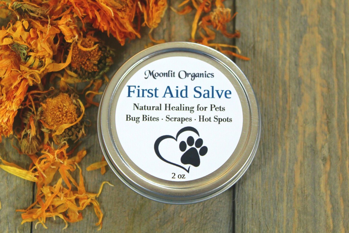 Pet First Aid Salve Dog Healing Salve Heals Bug Bites Etsy