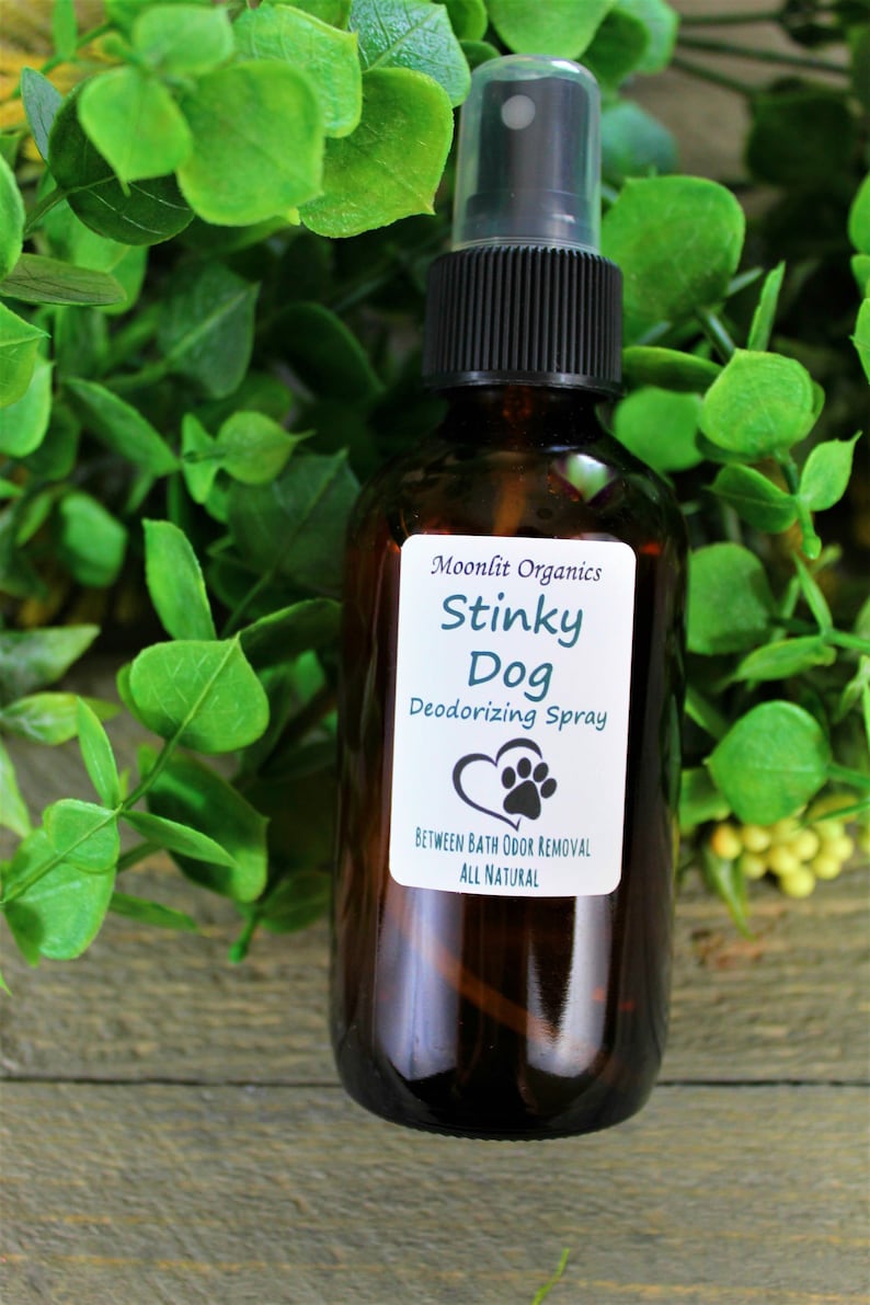Dog Deodorizer Spray Etsy