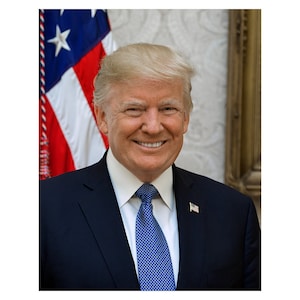 Donald J. Trump - 2017 - Vintage Historical Print - US President Photo
