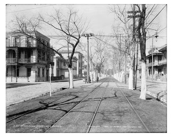 Esplanade Street in New Orleans - 1900 - Vintage Historical Print