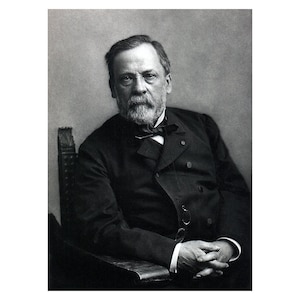 Louis Pasteur - Vintage Historical Print