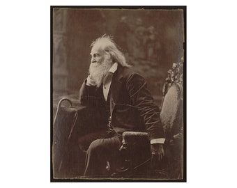 Walt Whitman - 1881 - Vintage Historical Photo