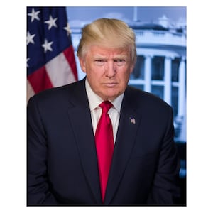 Donald Trump - 2016 - Vintage Historical Print - US President Photo