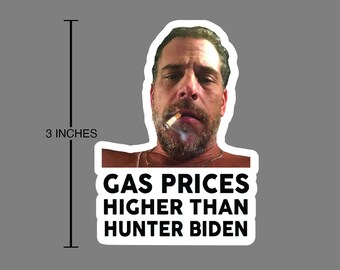 Sticker Funny Humor Political Stickers Decals 10//50//100pcs Joe Biden I DID THAT