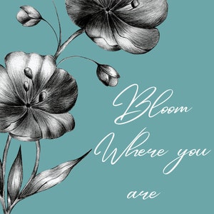 Planner, Journal, Life Book