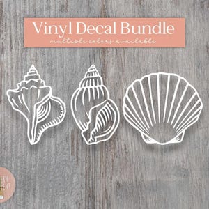 May include: A vinyl decal bundle featuring three white line art illustrations of seashells. The text Vinyl Decal Bundle multiple colors available is displayed in a salmon-colored rectangular banner at the top of the image.
