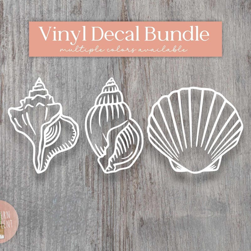 Free Shell Stickers Seashells Decals - Etsy
