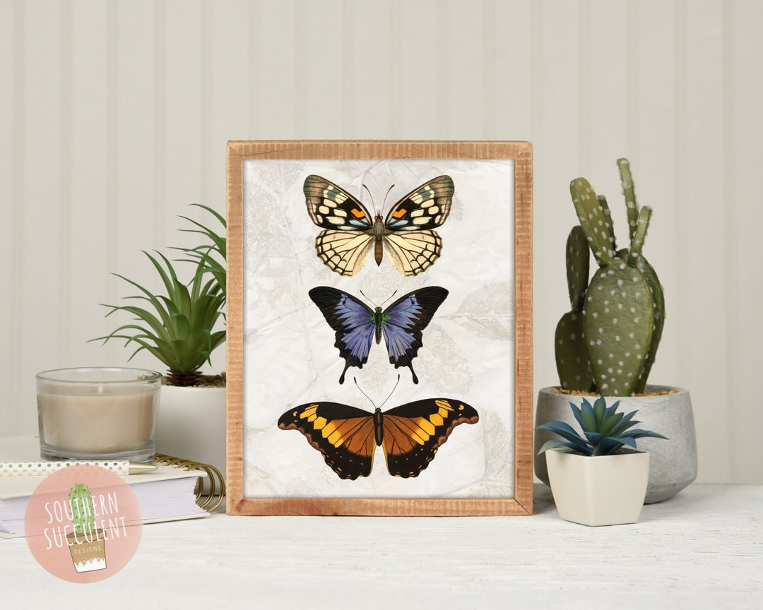 Vintage Butterfly Wall Art Digital Download Butterfly Print Printable