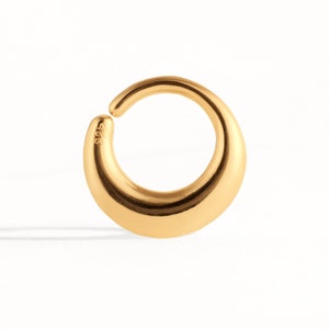 Minimalist Disc Septum Ring Modern Nose Ring Körperschmuck Sterling Silber und Gold Edgy Style 14g 16g Geschenk für Sie BSE046 Bild 3