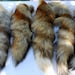 see more listings in the Pelts section