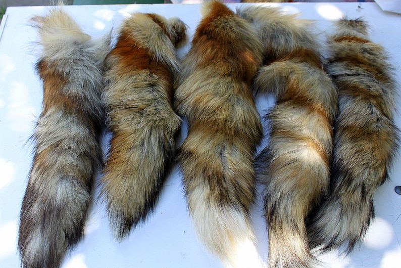 Fox Tail Red Fox Tails Costume Cosplay Fur Pelt image 1