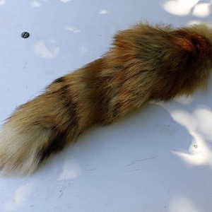 Fox Tail Red Fox Tails Costume Cosplay Fur Pelt image 3